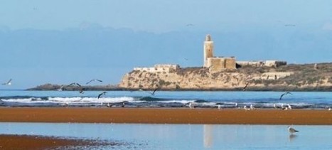 Essaouira - Mogador au départ d’Agadir 1 jour