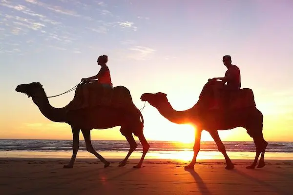 camel-ride-taghazout-agadir.webp