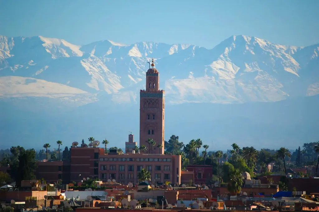 marrakech-en-decembre.webp