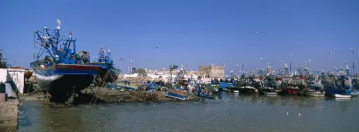 Essaouira City Tour – Half Day